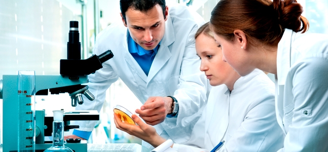 University Image
