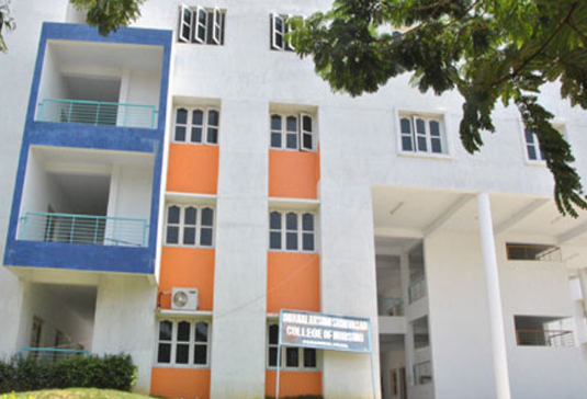 University Image