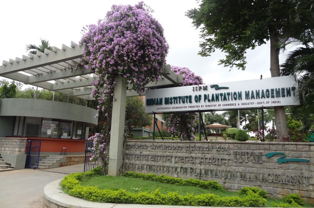 University Image