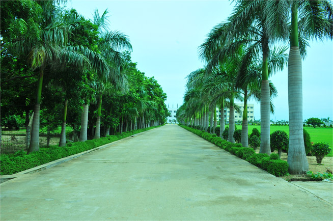 University Image