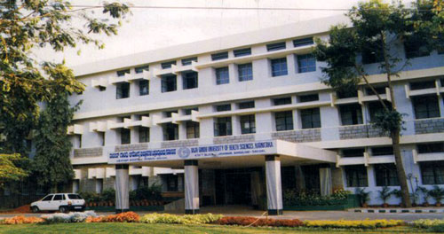 University Image