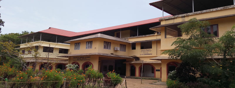 University Image