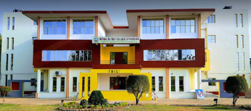 University Image