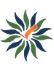 Arunachal University of Studies Namsai logo