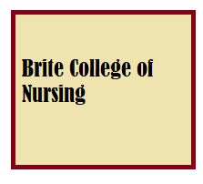 Brite College of Nursing Bengaluru logo
