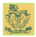 Al-Madina College of Education Mahabubnagar logo