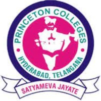 Princeton Institute of Engineering and Technology for Women Hyderabad logo