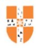 Rai Technology University Bangalore logo