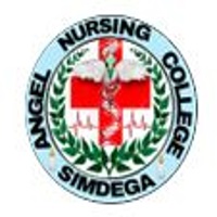 Angel Nursing College Simdega logo
