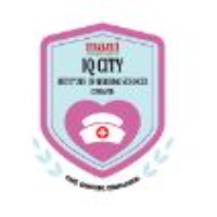 IQ City Institute of Nursing Sciences Durgapur logo