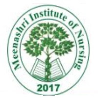 Meenashri Institute of Nursing Ranchi logo